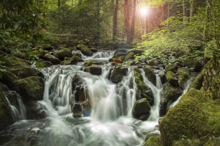 Small waterfall forest mossy rocks 2 - a small waterfall in a forest free wallpaper