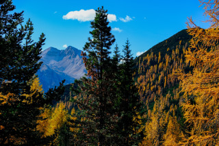 Mountain range trees blue sky - yellow free wallpaper