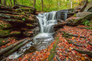 Waterfall woods fall leaves rocks - the ground and trees free wallpaper