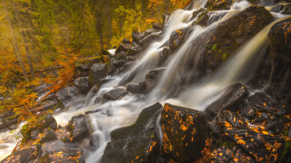 Waterfall forest autumn leaves fire - free rain wallpaper