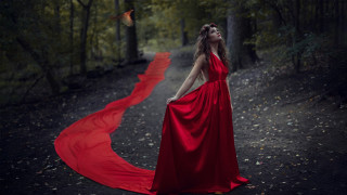 Woman red dress woods bird - her hand and a bird free wallpaper for desktop