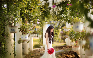 Woman white dress red bouquet - cheng shifa free wallpaper