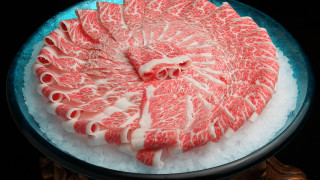 Large meat plate ice horse - sakimichan free wallpaper for desktop