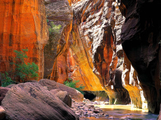 Narrow river canyon rocks trees - narrow free wallpaper
