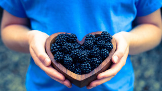 Heart shaped bowl berries closeup - a person holding free wallpaper