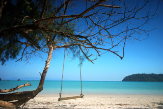Tree beach swing water clouds - a swing free wallpaper