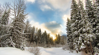 Snowy landscape trees clouds blue 2 - white cloud free wallpaper