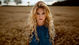 Woman wheat field serious blonde - her face and shoulder free wallpaper