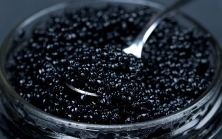 Spoon bowl black cavias table - a bowl free wallpaper