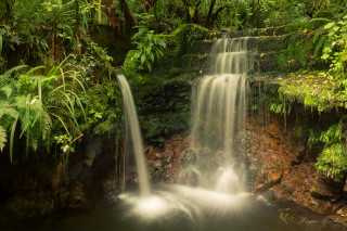 Waterfall tropical forest nature matte - free forest wallpaper