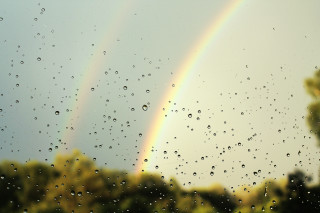 Rainbow rain drops window trees - holography free wallpaper