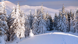 Snowy mountain forest lake winter 2 - edi rama free wallpaper