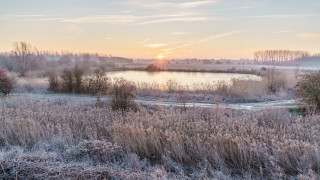 Lake trees sunset ecological puzzle - scene free wallpaper for desktop