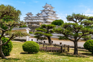 Building tower trees bench architecture - mingei free wallpaper
