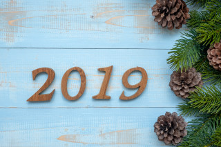 Wooden sign 2019 pine cones - a wooden sign free wallpaper