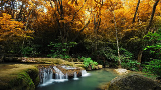 Small waterfall forest rocks green - green foliage free wallpaper