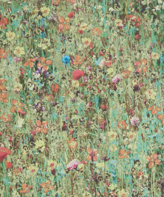 Field of flowers green background - a silk screen free wallpaper for mobile