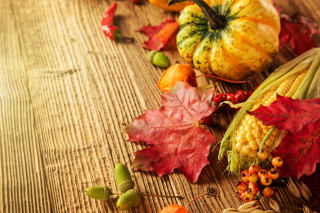 Autumn leaves pumpkins cornucopia harvest - free autumn wallpaper for desktop