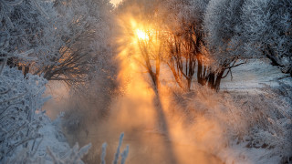 Sunbeam forest snow stream magic - volumetric light free wallpaper
