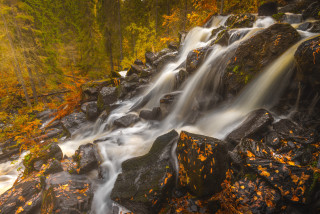Waterfall forest autumn leaves nature - the ground and trees free wallpaper
