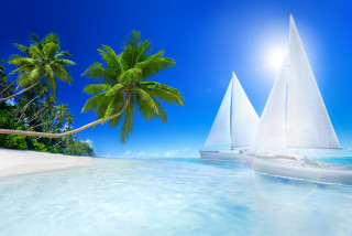 Tropical beach sailboat palm trees - a tropical beach free wallpaper