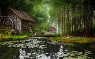 Pond lily pads house fantasy - a painting of a person free wallpaper