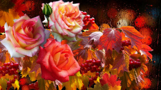 Rainy rose bouquet autumn leaves - a rainy day free wallpaper for desktop