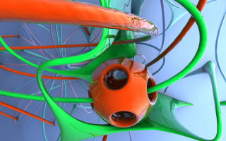 Fish pond plant raytraced c4d - free textures wallpaper