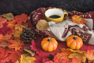Coffee leaves scarf pinecone autumn - a scarf free wallpaper