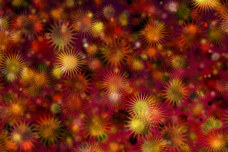 Colorful flower abstract fireworks ferriswheel - pincushion len free wallpaper