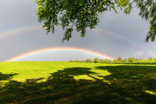 Rainbow green field trees dark 2 - a dark sky in the background free wallpaper