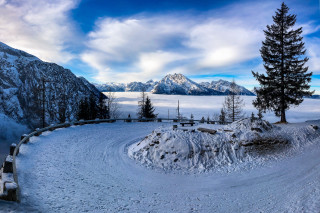 Snow mountain bench trees cloudy - a bench and trees free wallpaper for desktop