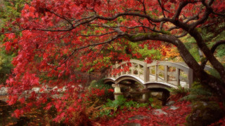 Bridge pond autumn leaves impessionist - red leaf free wallpaper for desktop