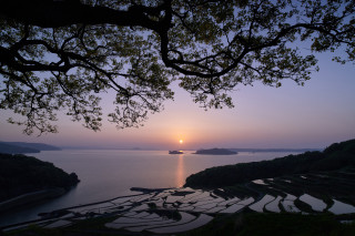 Sunset water boat tree fence - a sunset over a body of water free wallpaper