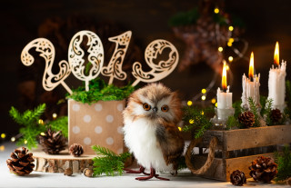 Small owl christmas cake candles - candle free wallpaper