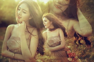 Beautiful young women field flowers - a field of flowers and grass free wallpaper