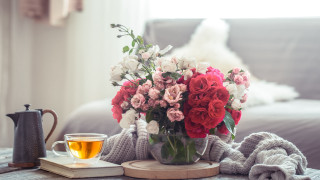 Flower vase tea cup blanket - soft free wallpaper for desktop