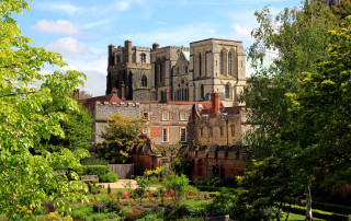 Gothic tower clock cherryblossom park - a large building free wallpaper