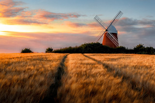 Windmill wheat field sunset trail - a trail free wallpaper for desktop