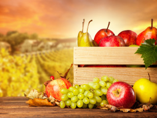Wooden crate fruit vineyard autumn - fall vibrancy free wallpaper for desktop