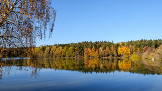 Autumn lake forest impressionist sunset - a clear blue sky above free wallpaper