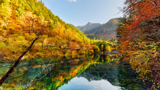 River mountain trees autumn leaves - cui bai free wallpaper