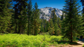 Woodland trail mountain person park - a trail free wallpaper