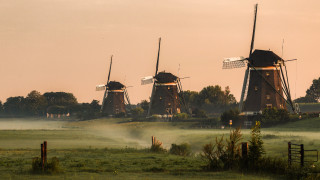 Windmills fog trees dusk landscape - free summer wallpaper