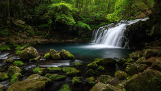 Waterfall forest mossy rocks stream 6 - mossy rock and trees free wallpaper