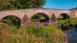 Stone bridge river purple flowers - the bank free wallpaper
