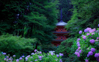 Pagoda forest purple flowers green - eishōsai chōki free wallpaper