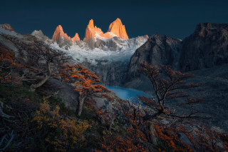 Mountain lake trees snow capped - mountain in the background free wallpaper