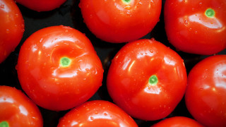 Tomatoes green spots water droplets - tomato free wallpaper