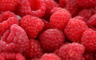 Raspberries closeup macro photorealism blood - a white surface free wallpaper